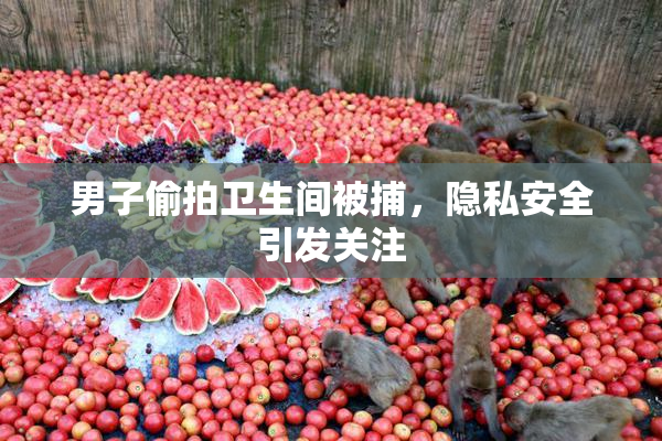 男子偷拍卫生间被捕，隐私安全引发关注