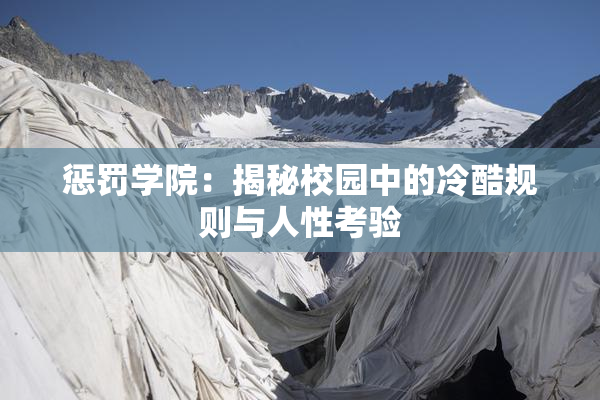 惩罚学院：揭秘校园中的冷酷规则与人性考验