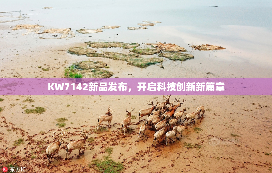 KW7142新品发布，开启科技创新新篇章