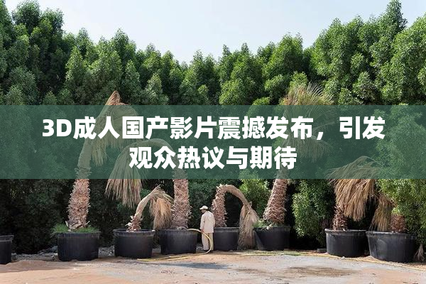 3D成人国产影片震撼发布，引发观众热议与期待