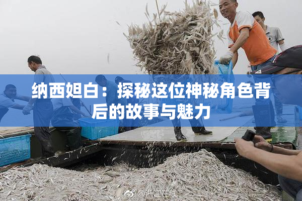 纳西妲白：探秘这位神秘角色背后的故事与魅力