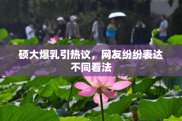 硕大爆乳引热议，网友纷纷表达不同看法
