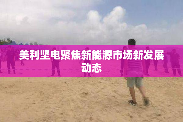 美利坚电聚焦新能源市场新发展动态