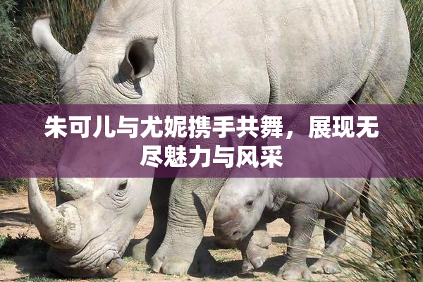 朱可儿与尤妮携手共舞，展现无尽魅力与风采