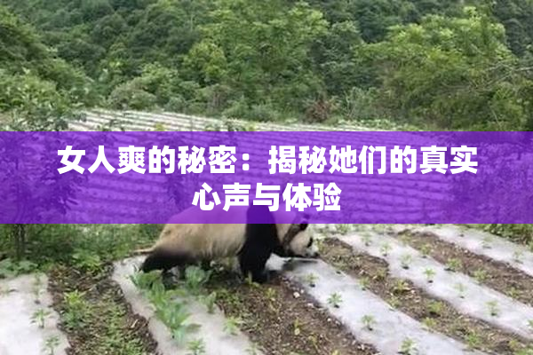 女人爽的秘密：揭秘她们的真实心声与体验