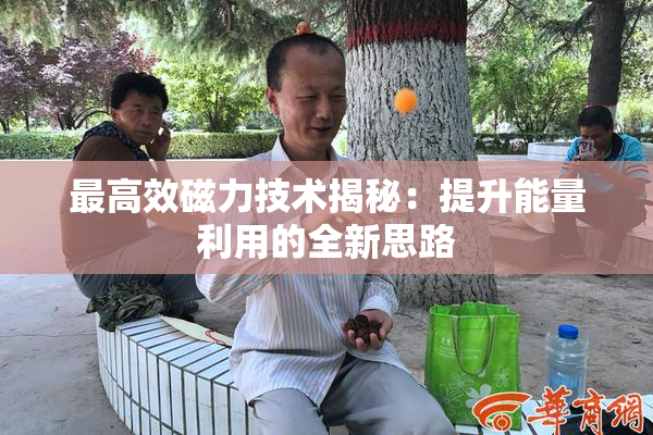 最高效磁力技术揭秘：提升能量利用的全新思路
