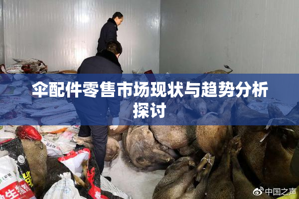 伞配件零售市场现状与趋势分析探讨