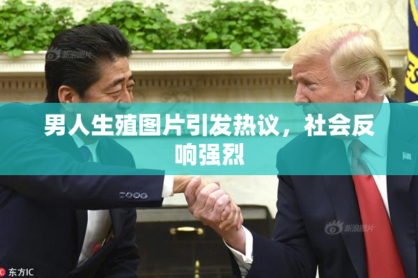 男人生殖图片引发热议，社会反响强烈