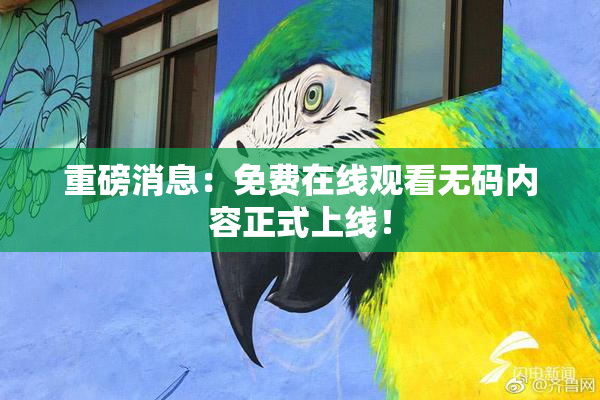 重磅消息：免费在线观看无码内容正式上线！
