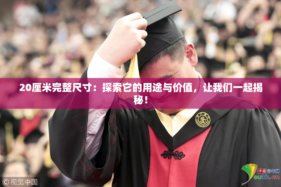 20厘米完整尺寸：探索它的用途与价值，让我们一起揭秘！