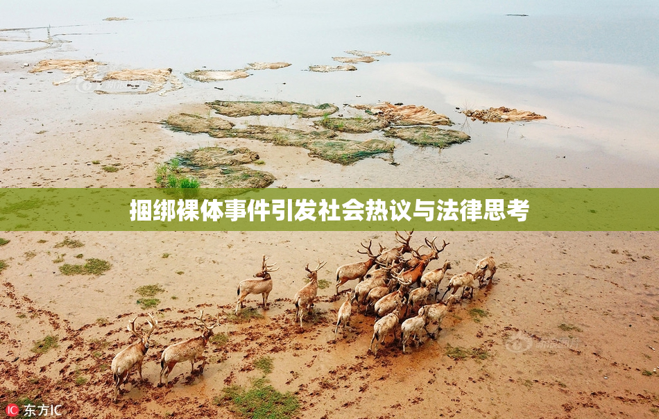 捆绑裸体事件引发社会热议与法律思考