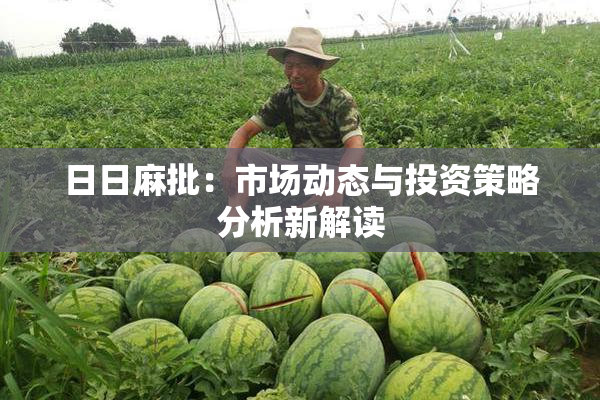 日日麻批：市场动态与投资策略分析新解读