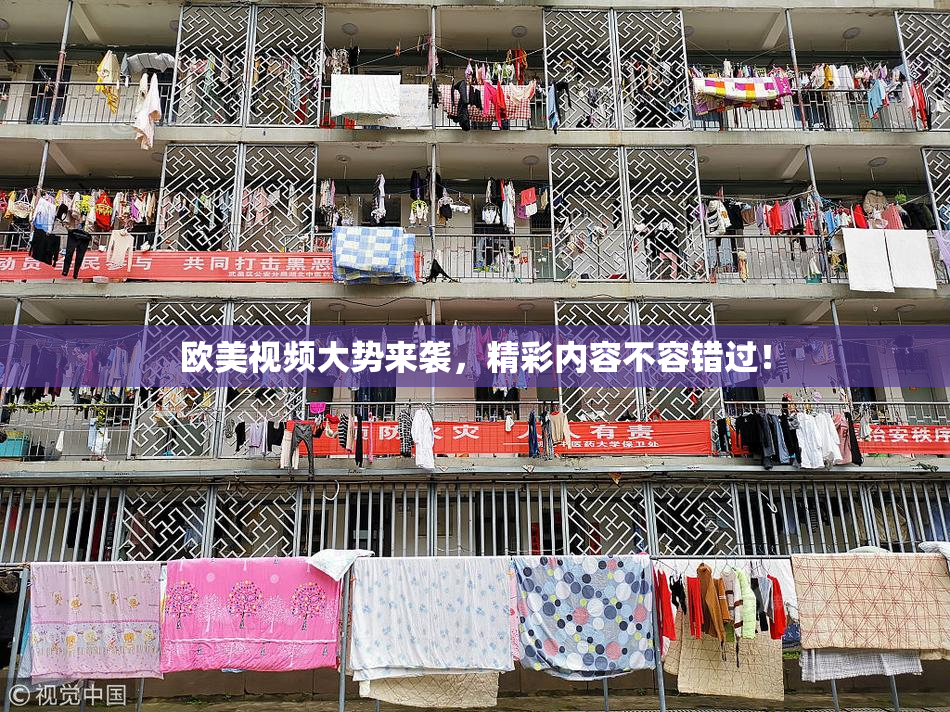 欧美视频大势来袭，精彩内容不容错过！