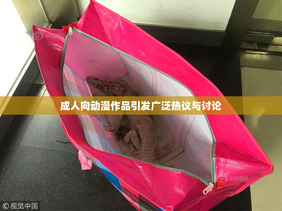 成人向动漫作品引发广泛热议与讨论