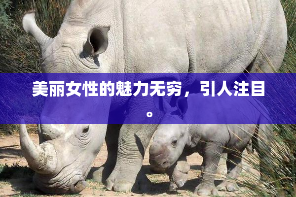 美丽女性的魅力无穷，引人注目。