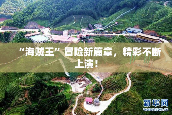 “海贼王”冒险新篇章，精彩不断上演！