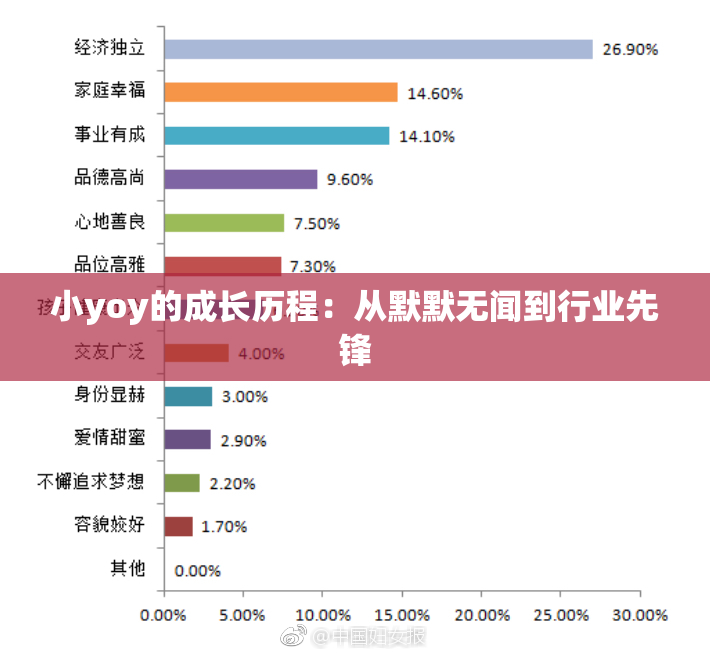 小yoy的成长历程：从默默无闻到行业先锋