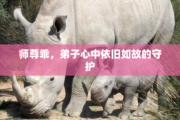师尊乖，弟子心中依旧如故的守护
