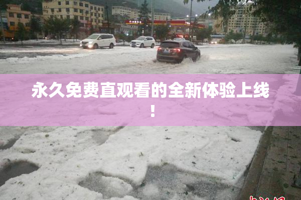 永久免费直观看的全新体验上线！