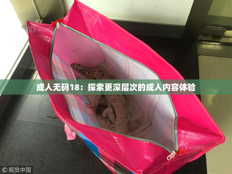 成人无码18：探索更深层次的成人内容体验
