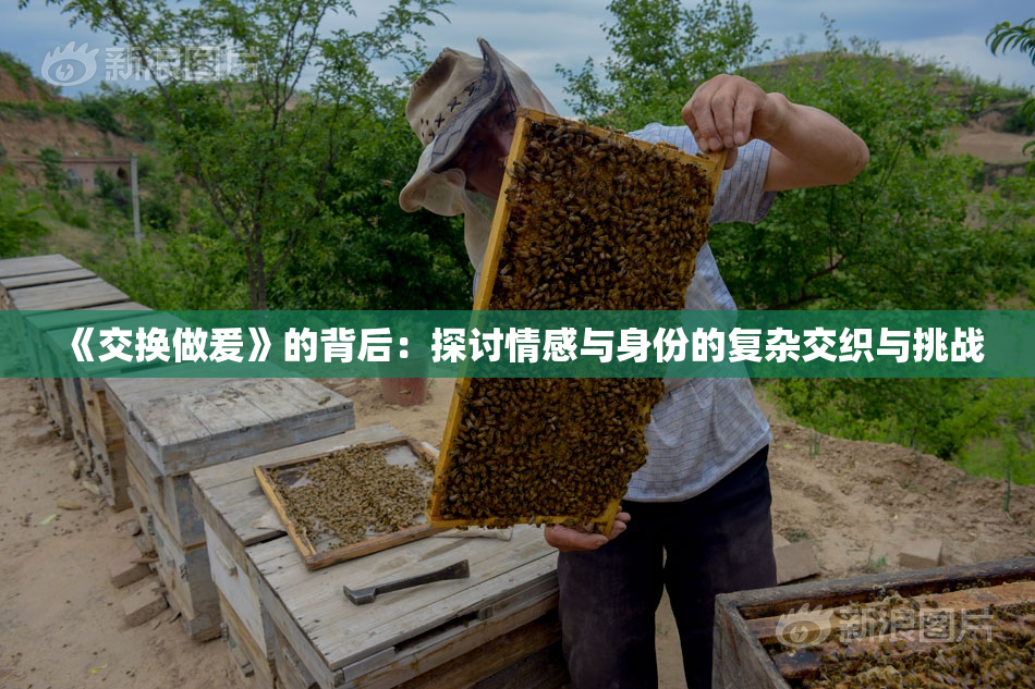 《交换做爰》的背后：探讨情感与身份的复杂交织与挑战