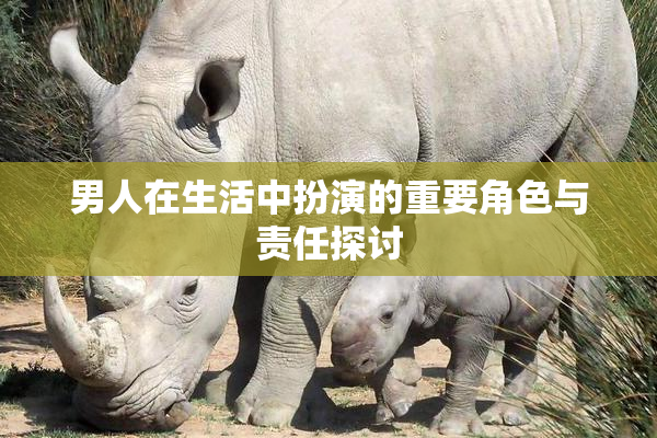 男人在生活中扮演的重要角色与责任探讨