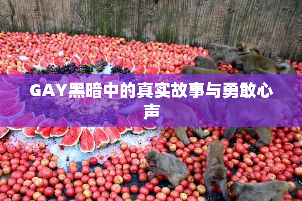 GAY黑暗中的真实故事与勇敢心声