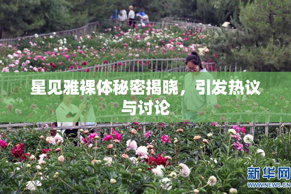 星见雅裸体秘密揭晓，引发热议与讨论