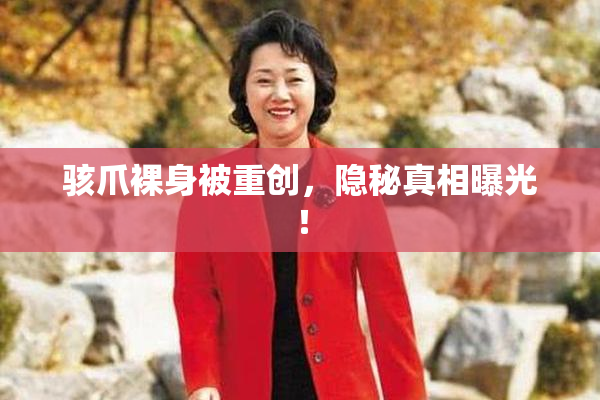 骇爪裸身被重创，隐秘真相曝光！