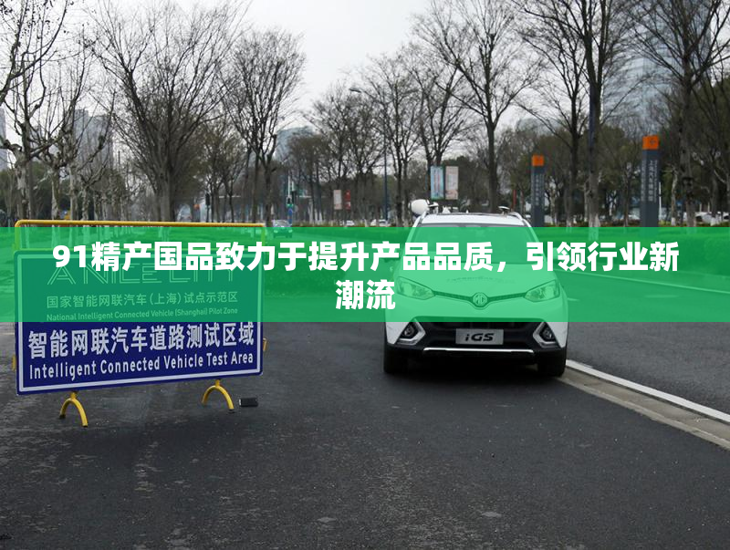 91精产国品致力于提升产品品质，引领行业新潮流