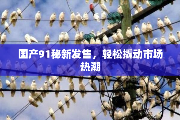 国产91秘新发售，轻松撬动市场热潮