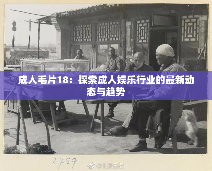 成人毛片18：探索成人娱乐行业的最新动态与趋势