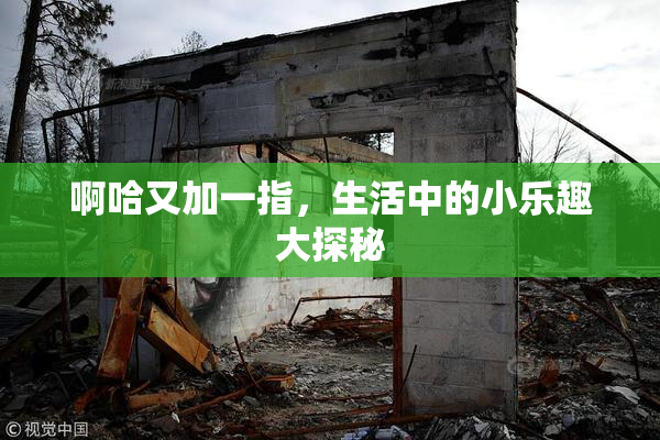 啊哈又加一指，生活中的小乐趣大探秘