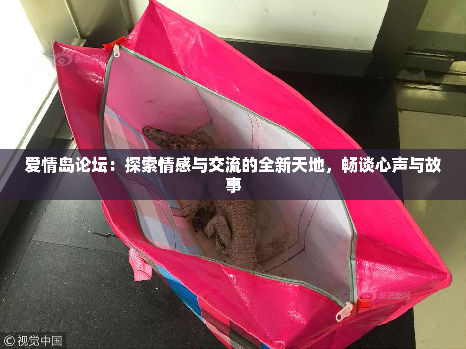 爱情岛论坛：探索情感与交流的全新天地，畅谈心声与故事