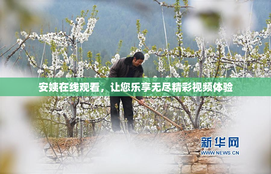 安姨在线观看，让您乐享无尽精彩视频体验