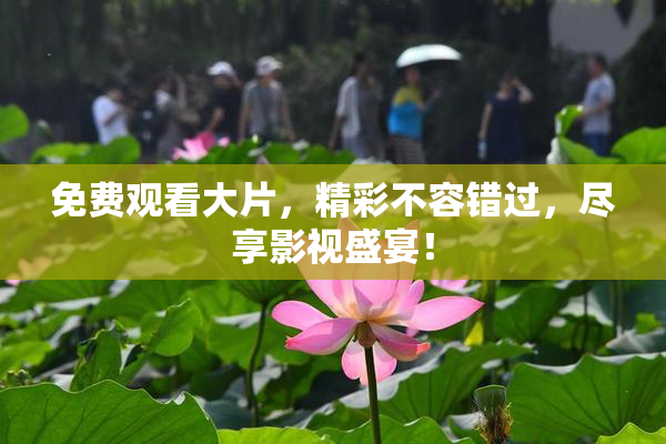 免费观看大片，精彩不容错过，尽享影视盛宴！