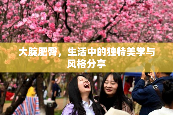 大腚肥臀，生活中的独特美学与风格分享