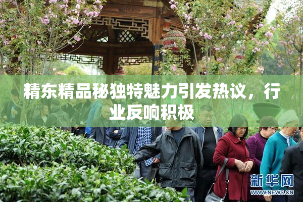 精东精品秘独特魅力引发热议，行业反响积极