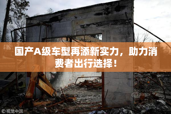 国产A级车型再添新实力，助力消费者出行选择！
