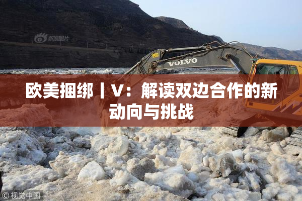 欧美捆绑丨V：解读双边合作的新动向与挑战