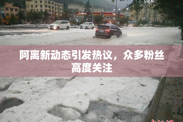 阿离新动态引发热议，众多粉丝高度关注