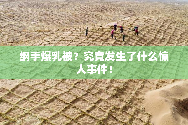 纲手爆乳被？究竟发生了什么惊人事件！