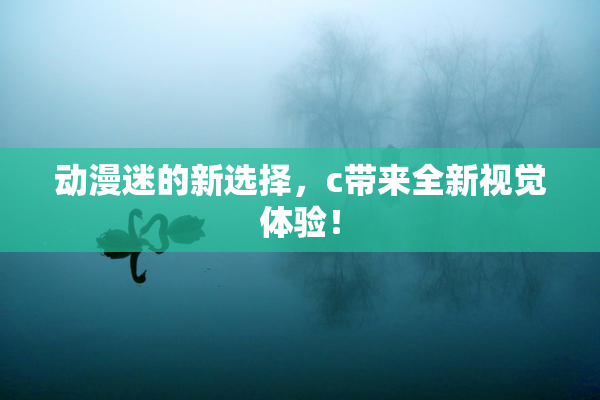 动漫迷的新选择，c带来全新视觉体验！