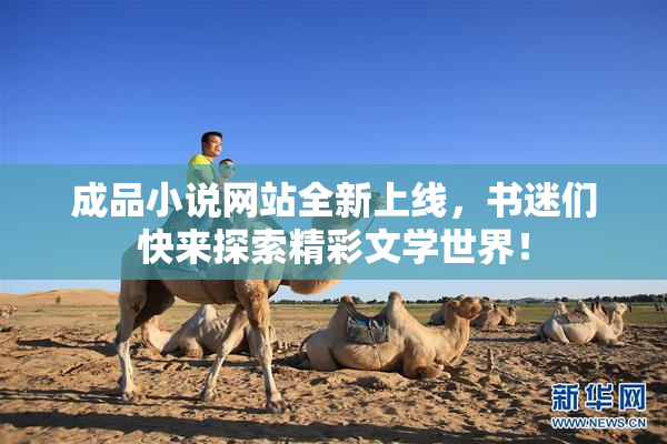 成品小说网站全新上线，书迷们快来探索精彩文学世界！