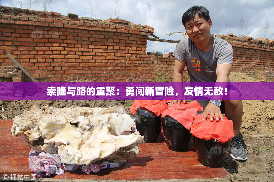 索隆与路的重聚：勇闯新冒险，友情无敌！