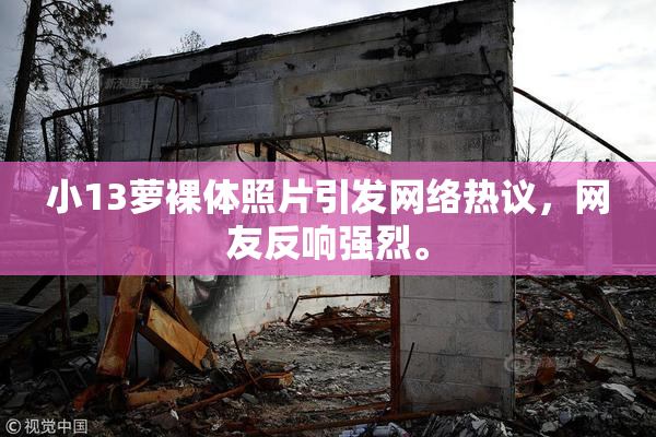 小13萝裸体照片引发网络热议，网友反响强烈。