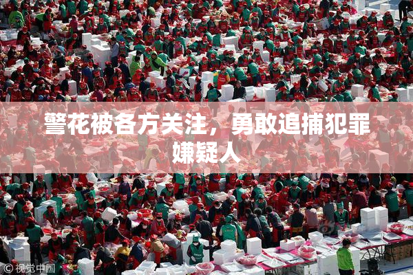 警花被各方关注，勇敢追捕犯罪嫌疑人