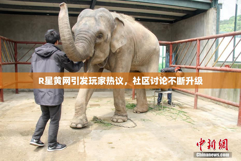R星黄网引发玩家热议，社区讨论不断升级