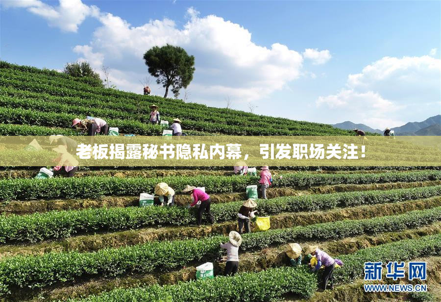老板揭露秘书隐私内幕，引发职场关注！