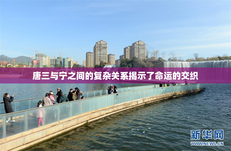 唐三与宁之间的复杂关系揭示了命运的交织